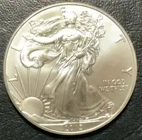 USA Silver Eagle Coins & Silver Dollars 