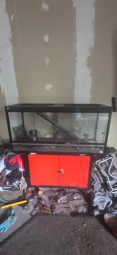 86 gallon lizard tank, View more