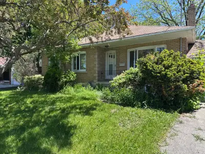 House for rent -3 bedroom +Family room + kitchen + basement (for storage only) + 4 parking. Immediat...