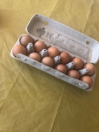 Eggs  