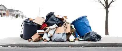 Garbage/Junk removal!, View more