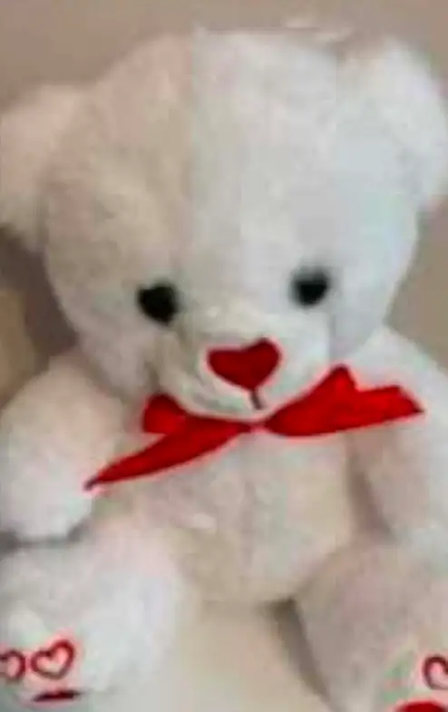 Personalized Plushies for you! $10 each in Holiday, Event & Seasonal in Ottawa - Image 4