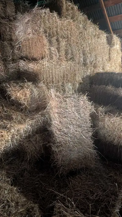 straw for sale , View more