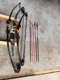 2  Barnett Youth Compound Bows and 1 Regular