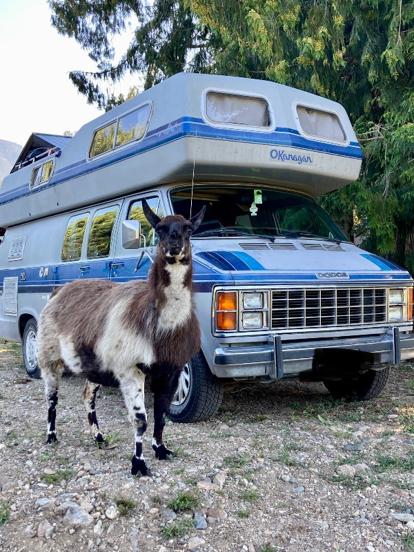1985 Dodge Okanagan camper van with beautiful inside Travel Trailers & Campers Edmonton Kijiji