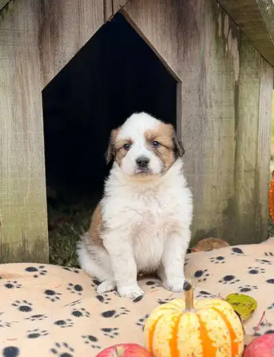 For any questions you may have~to schedule a visit~to get directions to our place please don't messa...