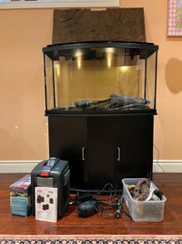 Fluval bow 45 aquarium kit with stand, eheim 250 filter,pump,led
