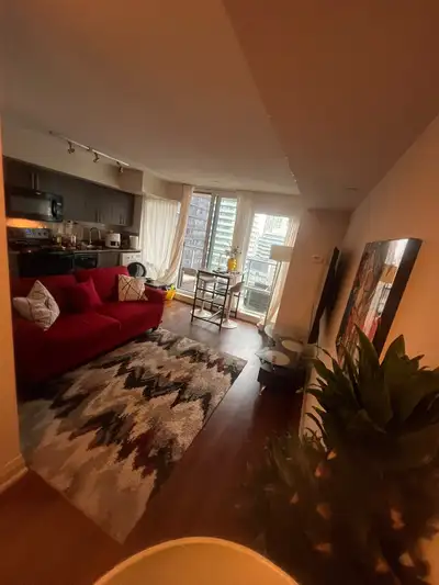 One bedroom plus one Spacious Well furnished Right downtown For one month november to December Pls c...