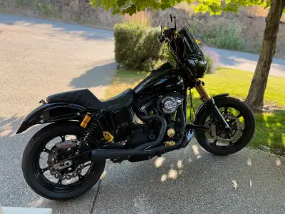 Fuel Moto 110, woods cams, Darkhorse crank, Barnett clutch, SDC wheels, fab 28 exhaust, HPI throttle...