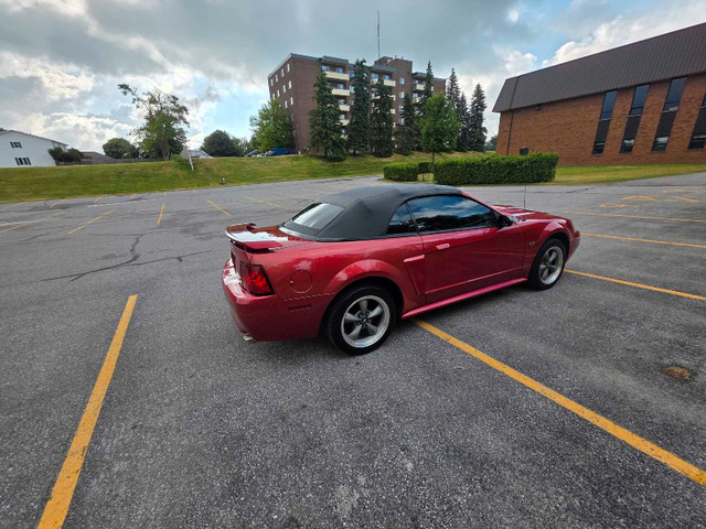 2002 Mustang GT Convertible  in Cars & Trucks in Kawartha Lakes - Image 2