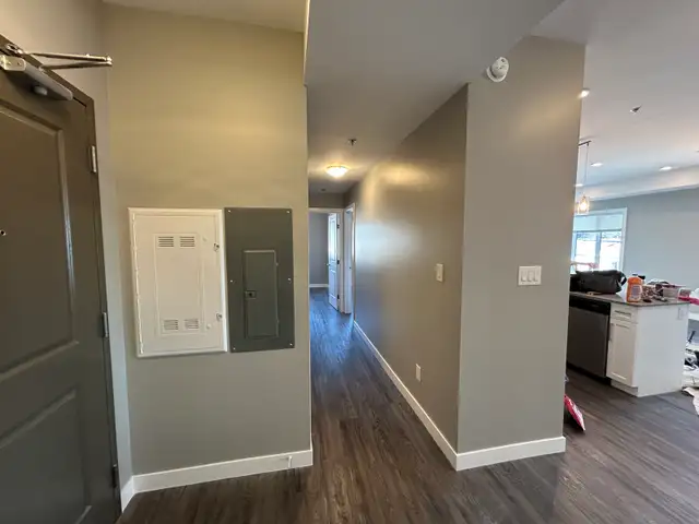 Painter Taper 65619850675457122