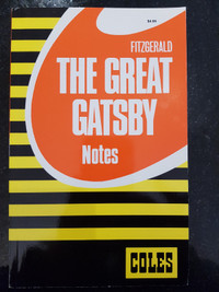 The Great Gatsby (Coles Notes)