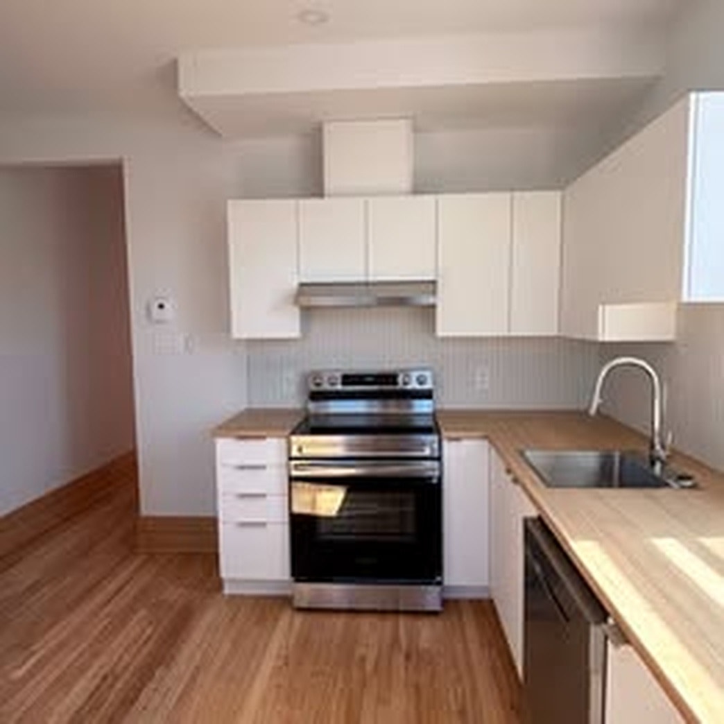4 1/2 entièrement rénové - Très lumineux - Cachet - Hochelaga — photo 1