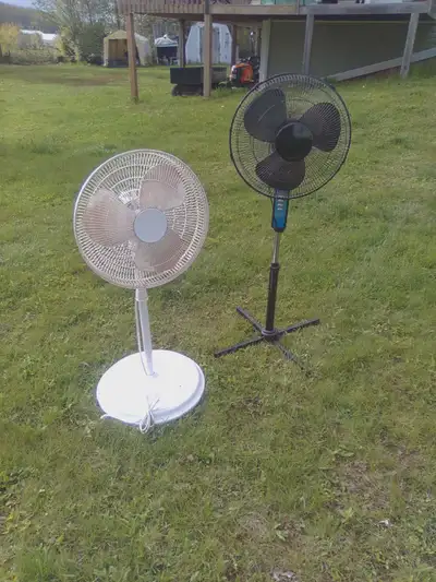 Two Fans, View more