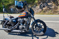 2020 Harley-Davidson Iron XL1200