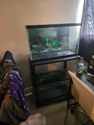 I got 2 30 gal tanks with metal stand tanks hold water i just got a different tank. Can include colo...