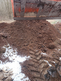 Horse manure  black soil and compost