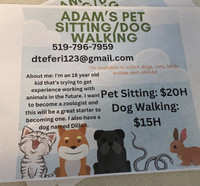 Pet Sitting/Dog Walking