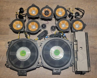 X5/X6 (E70/E71)  M Individual Audio speakers complete