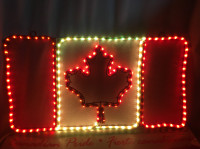 Canadian Flag Rope Light