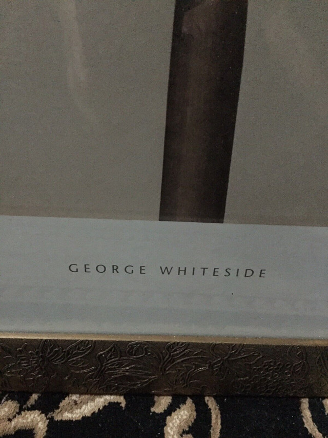 Framed Wall Art by GEORGE WHITESIDE in Arts & Collectibles in Mississauga / Peel Region - Image 3