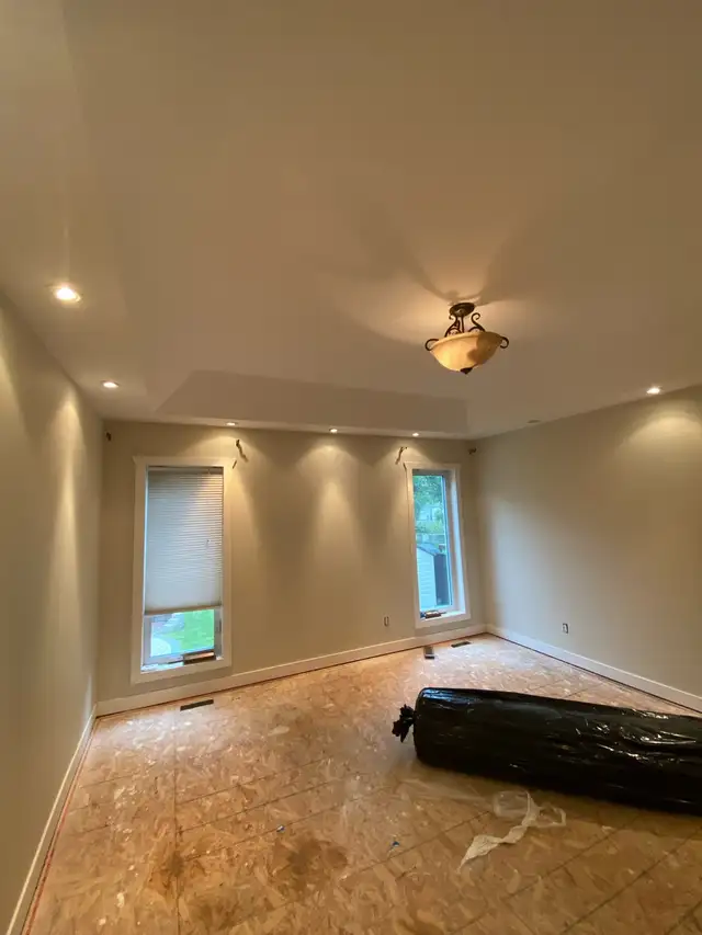 Affordable painter 65561325182722123