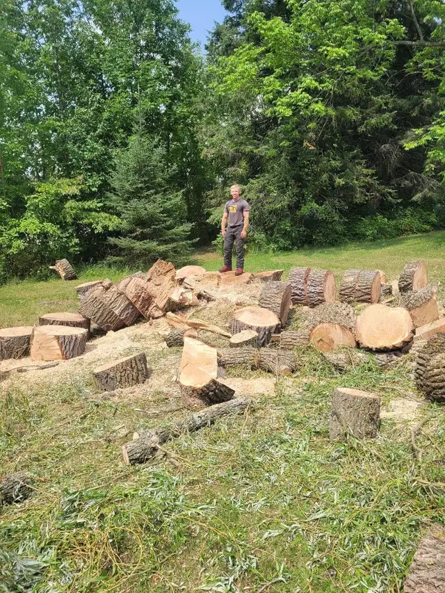 Arborist64840195522691120