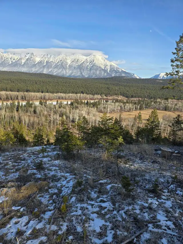 281-Acre Riverfront Property | Mountain Views | Kootenay in Land for Sale in Cranbrook - Image 3