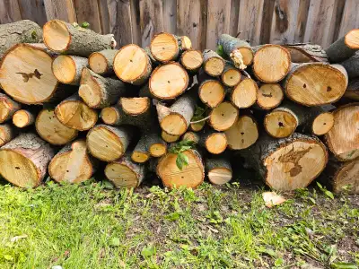 FIREWOOD SALE 50 FT, View more