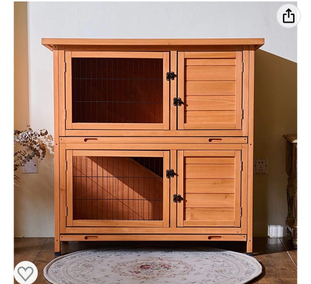 New Zealand white + cage Small Animals for Rehoming Ottawa Kijiji