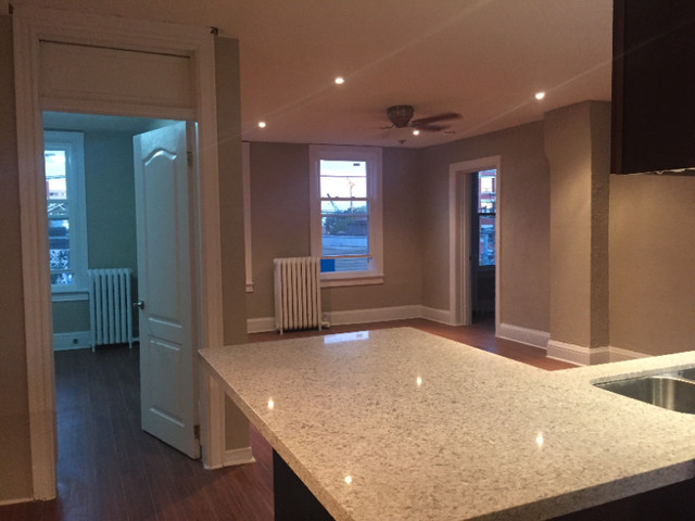 Downtown 4 Bedroom 3rd floor apt in Prime Little Italy Location in Long Term Rentals in City of Toronto - Image 3
