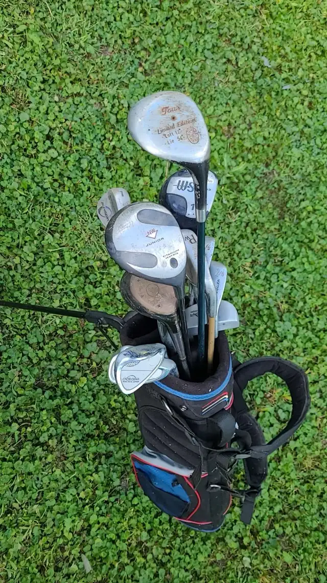 Golf Clubs for lady’s right sighttake all in Golf in Windsor Region - Image 3