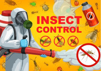 AFFORDABLE PEST CONTROL SERVICE %30 DISCOUNT 647-239-0762