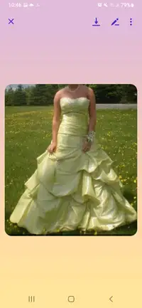 Aviena Designs prom dress