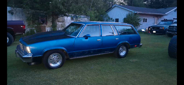 1982 Malibu wagons in Classic Cars in Brantford - Image 3