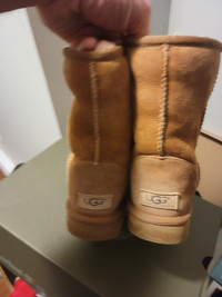 Uggs boots