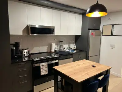 Petit loft style meublé tout inclus. Métro Langelier.