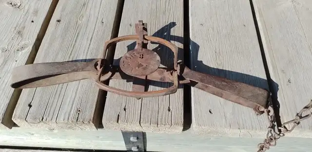 Vintage Victor Long Spring Coyote Traps.  Eight traps in total. in Fishing, Camping & Outdoors in Lloydminster - Image 4
