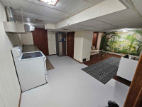 1 Bed room basement apartment in Roseland Burlington