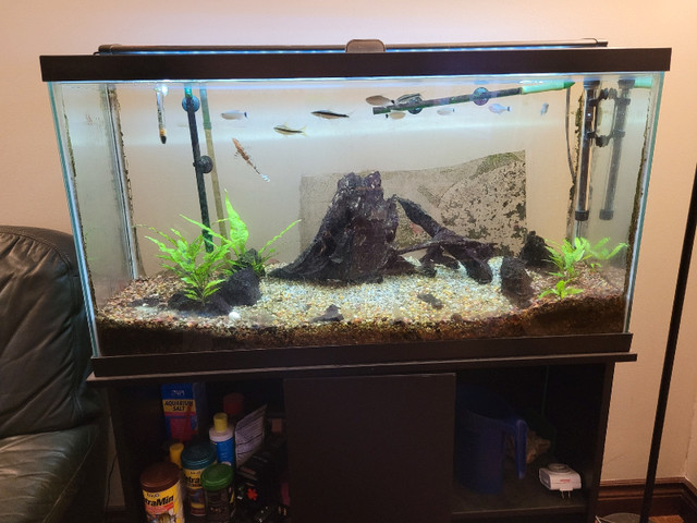 38G Fish Tank with accessories in Hobbies & Crafts in Mississauga / Peel Region