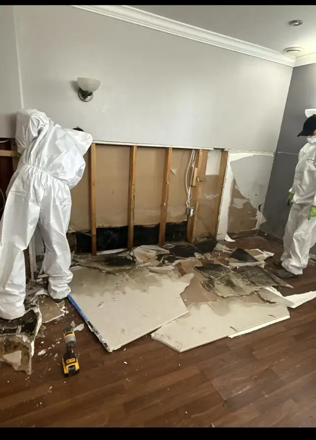 24/7 Emergency Restoration & Cleaning Services Free Estimate63006658663171121