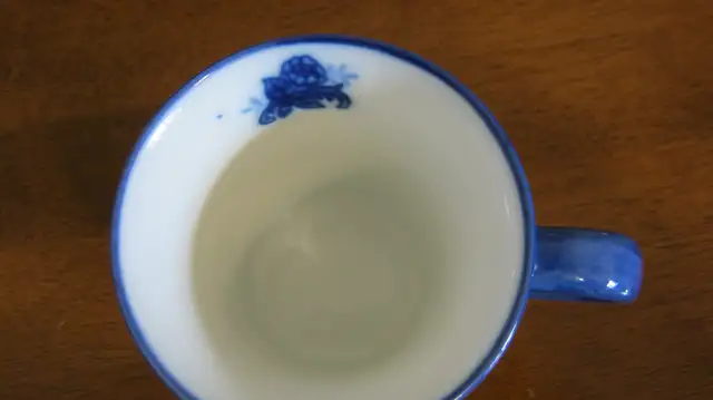 New Blue Floral Coffee Mug514439935060889603