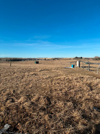 Horse pasture, 5 minutes north of Cochrane.