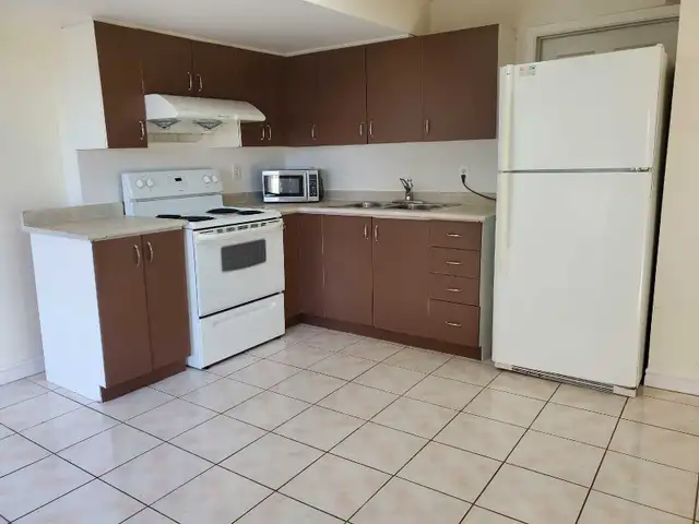 Room for rent in Walkout Basement 