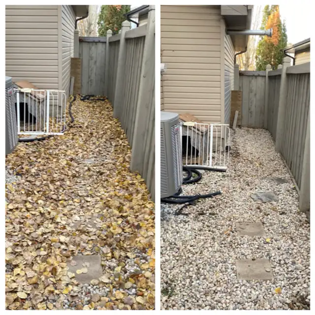 FALL CLEANUP • OVERGROWN YARD586457737531248642