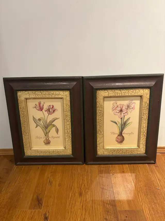 Framed Floral Prints in Home Décor & Accents in Fort McMurray - Image 2
