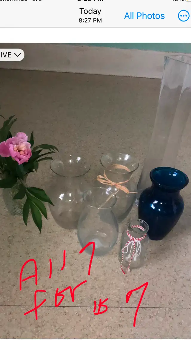 7 Vases of all shapes and sizes - All for $762863727831681128
