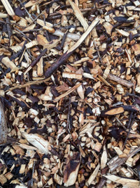 Looking for free woodchips 