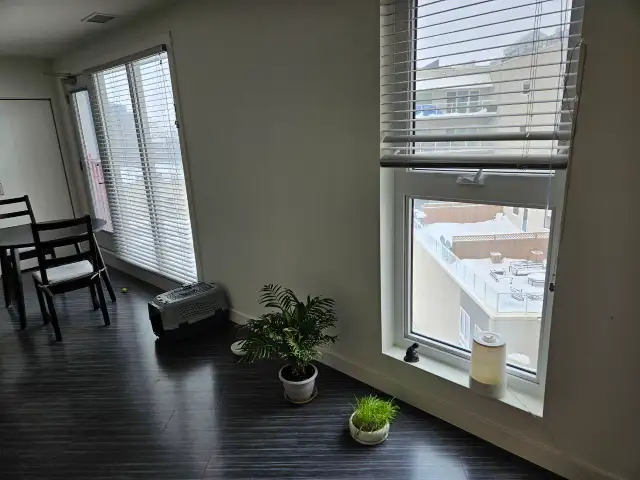 Bright 1-Bedroom Apartment in Exchange District in Long Term Rentals in Winnipeg - Image 3