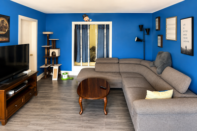 **Large 1-Bedroom Apartment for Rent – Petersburg (West of Kitchener-Waterloo)** Available August 1s...